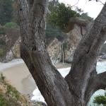 Cambria2010_219 ()